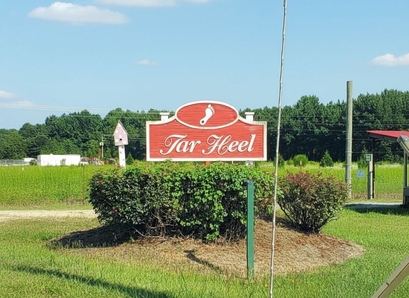 Hero for Home Services Options